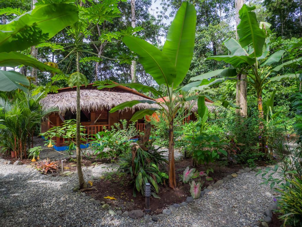 Casitas Las Flores Puerto Viejo de Talamanca Quarto foto